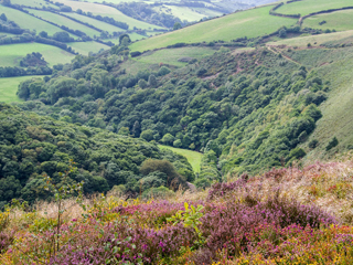 Exmoor countryside in North Devon