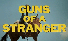 Guns of a Stranger